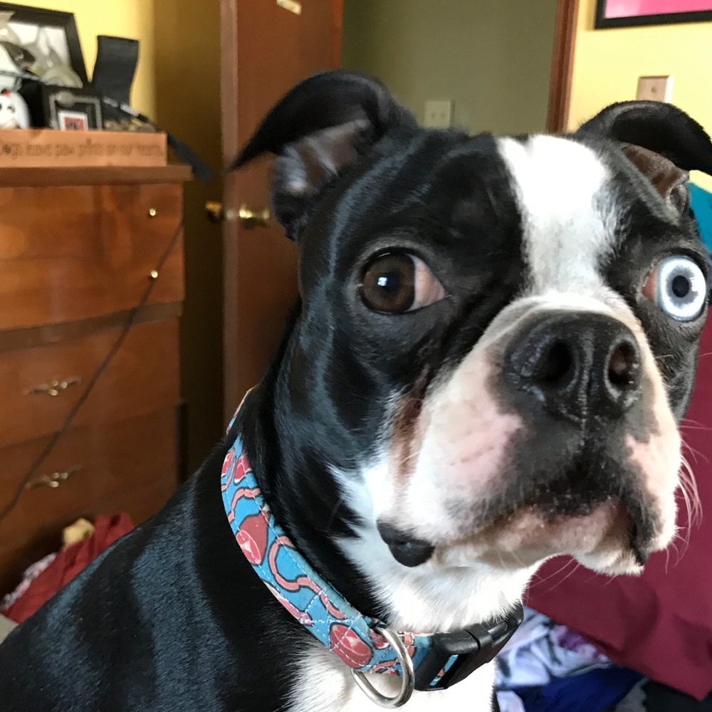 Meet your Posher, Gabby